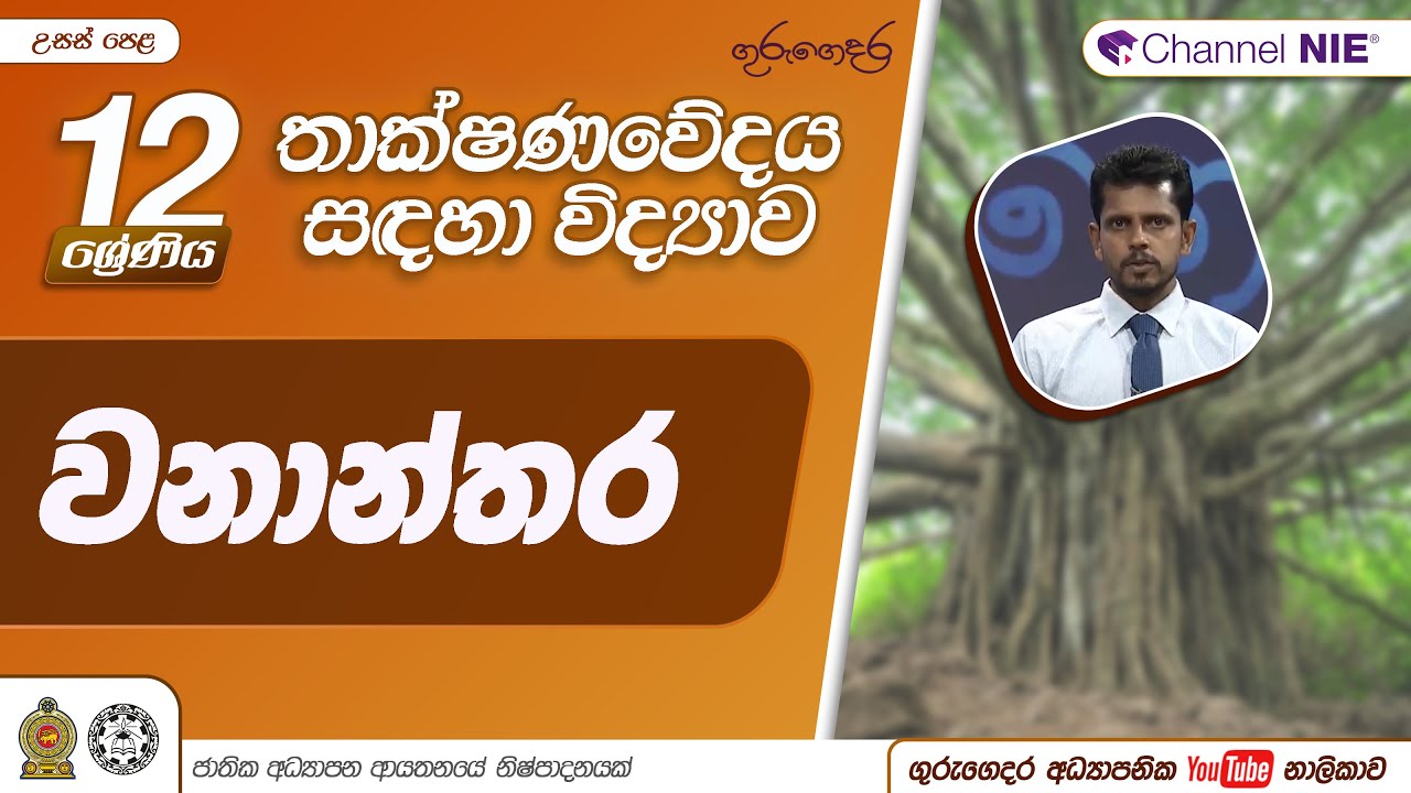 වනාන්තර - 12 ශ්‍රේණිය (තාක්ෂණවේදය සඳහා විද්‍යාව)