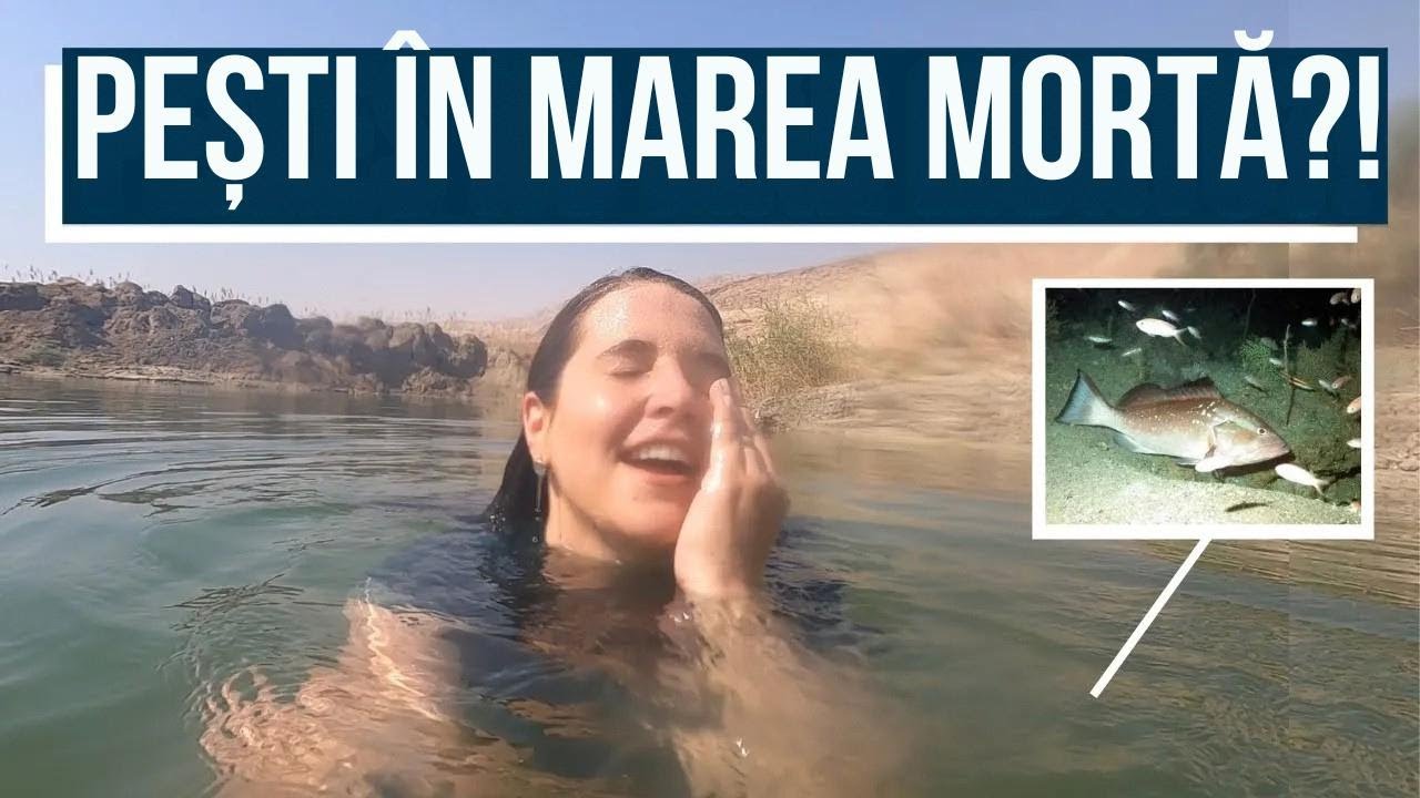 PROFEȚIA SE ÎMPLINEȘTE ASTĂZI! Israel cu Aline