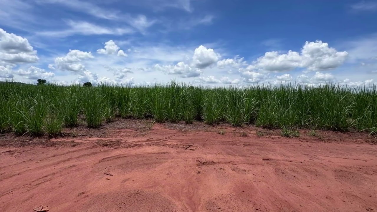 Fazenda de Dupla Aptidão em Quirinópolis/GO – 35,5 Alqueires com Renda Garantida