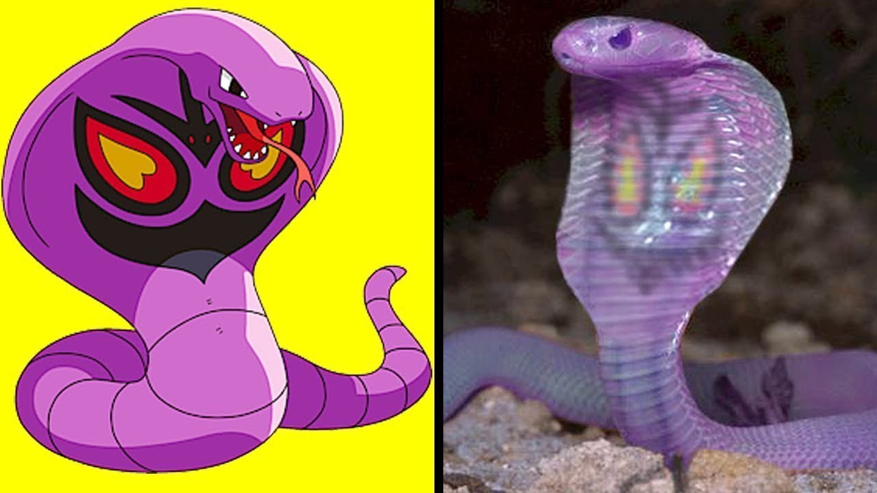 When Pokémon Show Up in Real Life – Part 2