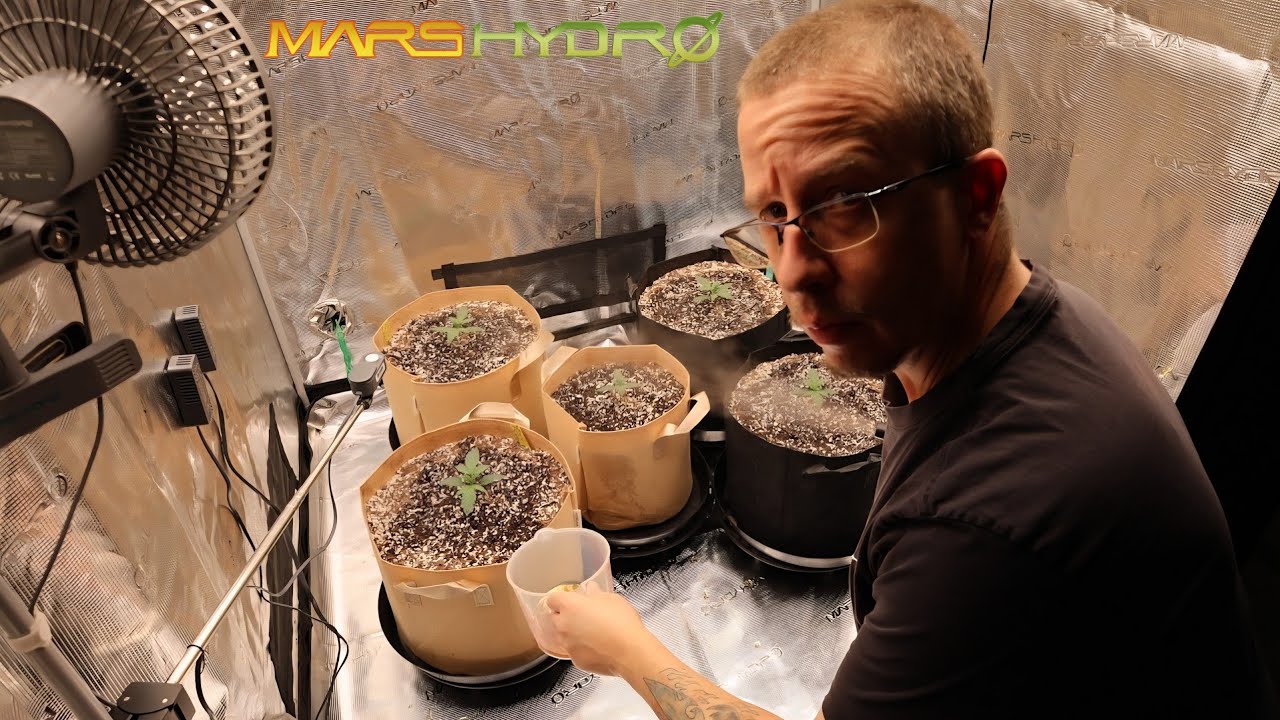 Dr. Earth против Gaia Green - Автоцветущие растения, День 16 | Первый компостный чай | Mars Hydro...