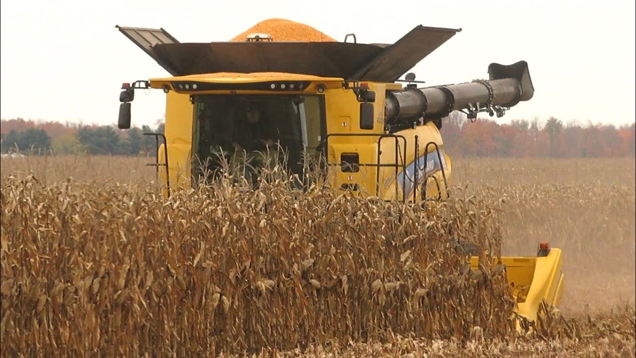 Corn Harvest 2020 | New Holland CR 8.90 Combine Harvesting Corn | Ontario, Canada