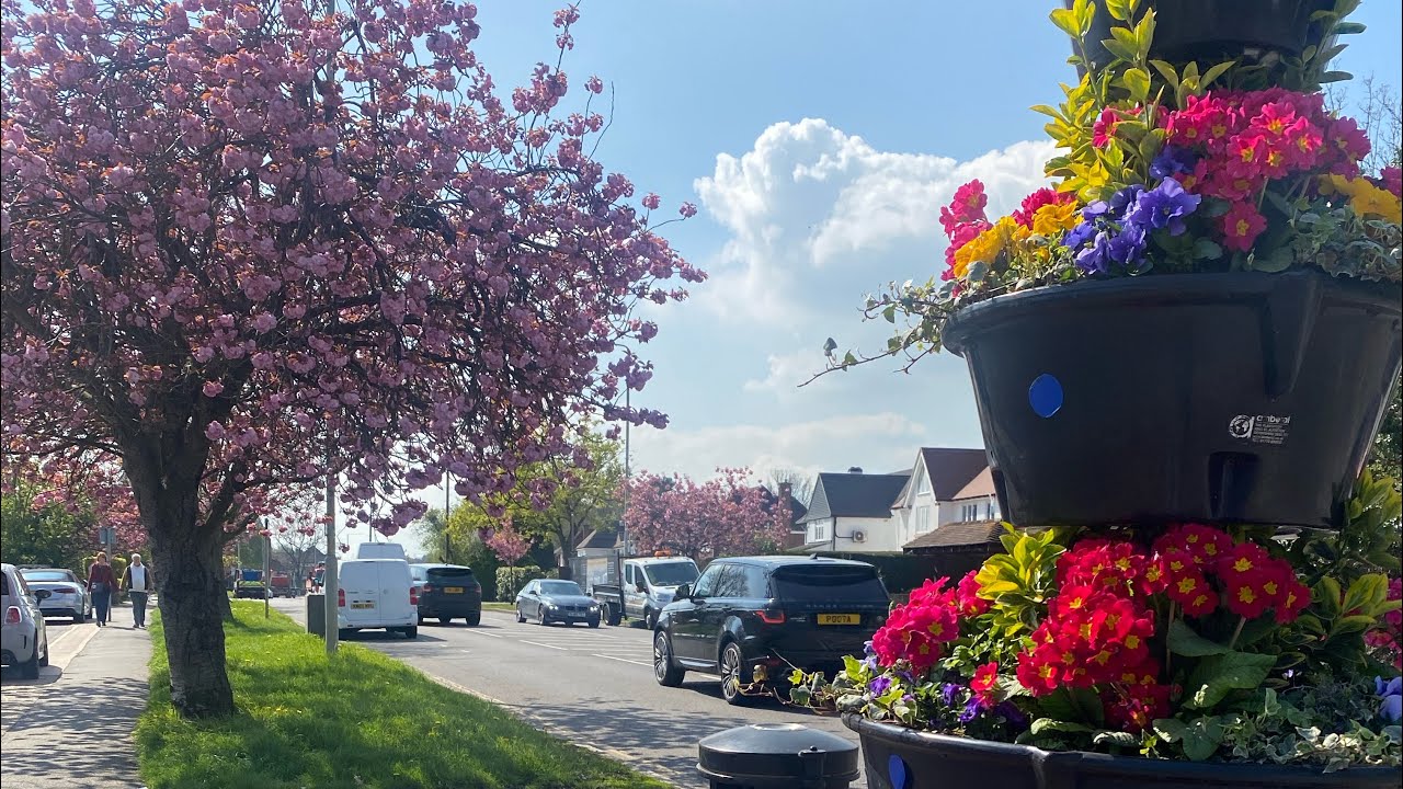 Beginning of Spring in London, Long Lane, Uxbridge - Hillingdon 4K Walk - Blooming Seasonal Colours