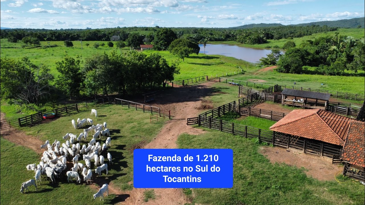Fazenda em Palmeirópolis Tocantins - 62 9 8623 3788 Guilherme - CRECI/GO n.° 101.791 E