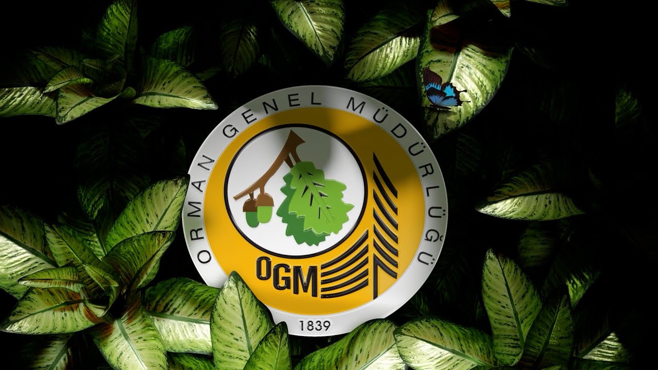 Tek Medya Grup Tarafından Hazırlanan 