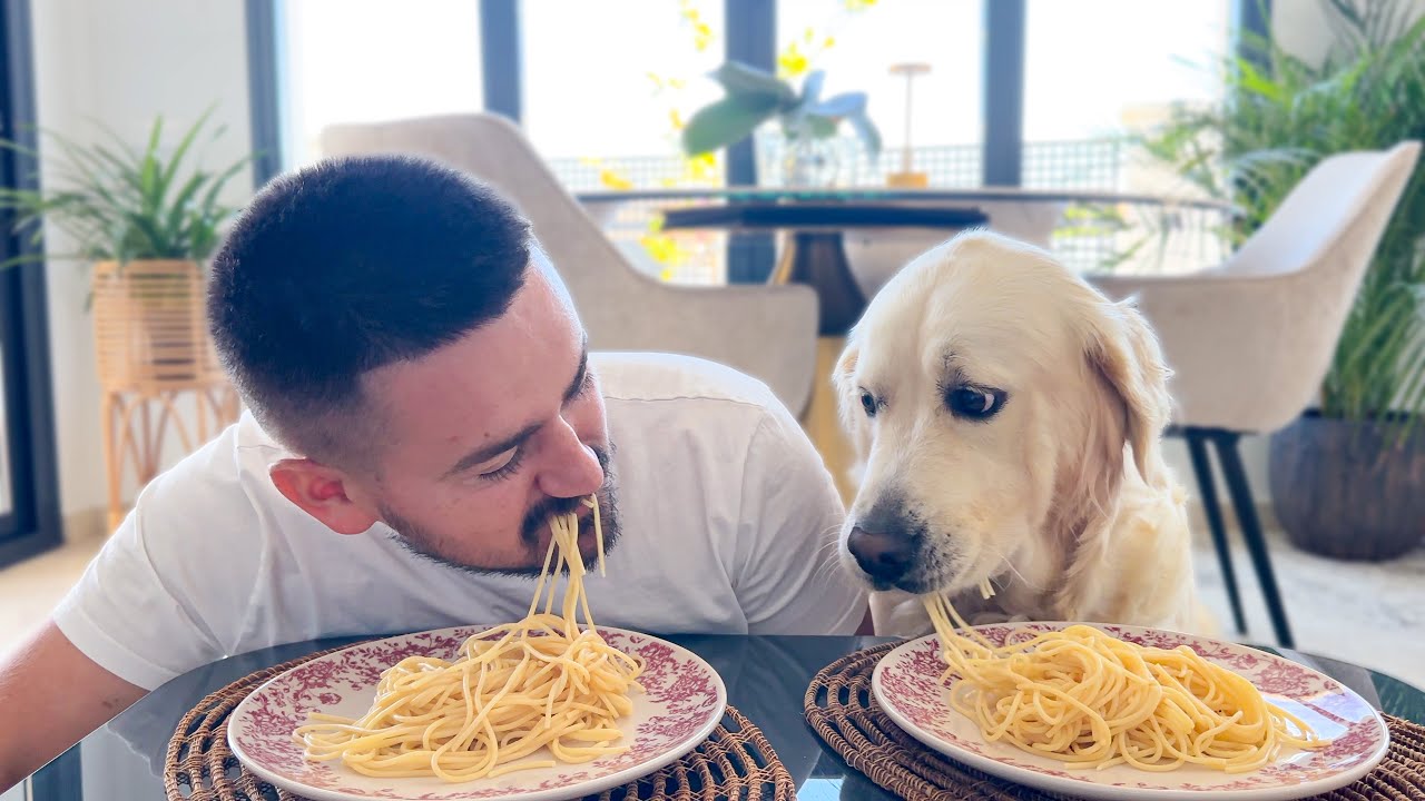 Spaghetti Eating Competition: My Dog vs. Me