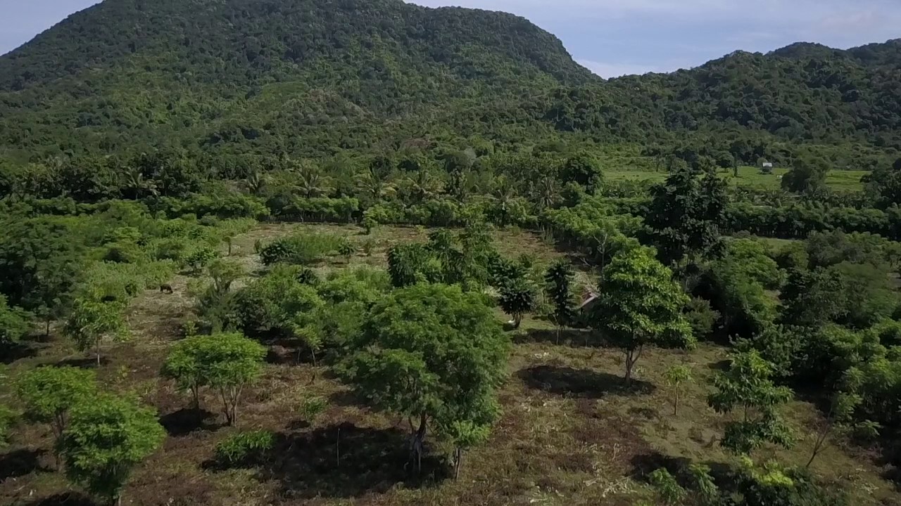 BTPI.Co managed 1 hectare Investment  Property, Sumbawa, Indonesia
