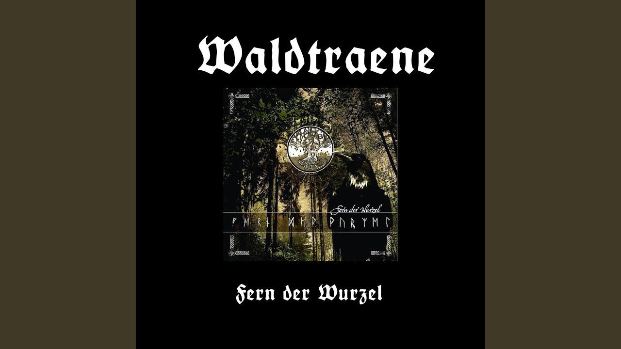 Fern der Wurzel