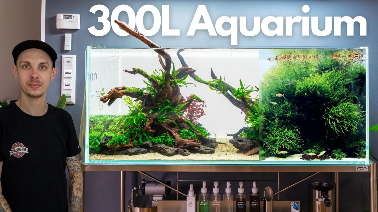 Bepflanzung vom ADA 120P Nature Aquarium!