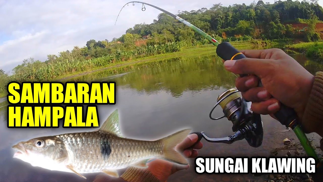 CASTING HAMPALA SUNGAI KLAWING PURBALINGGA DAPAT IKAN ANEH