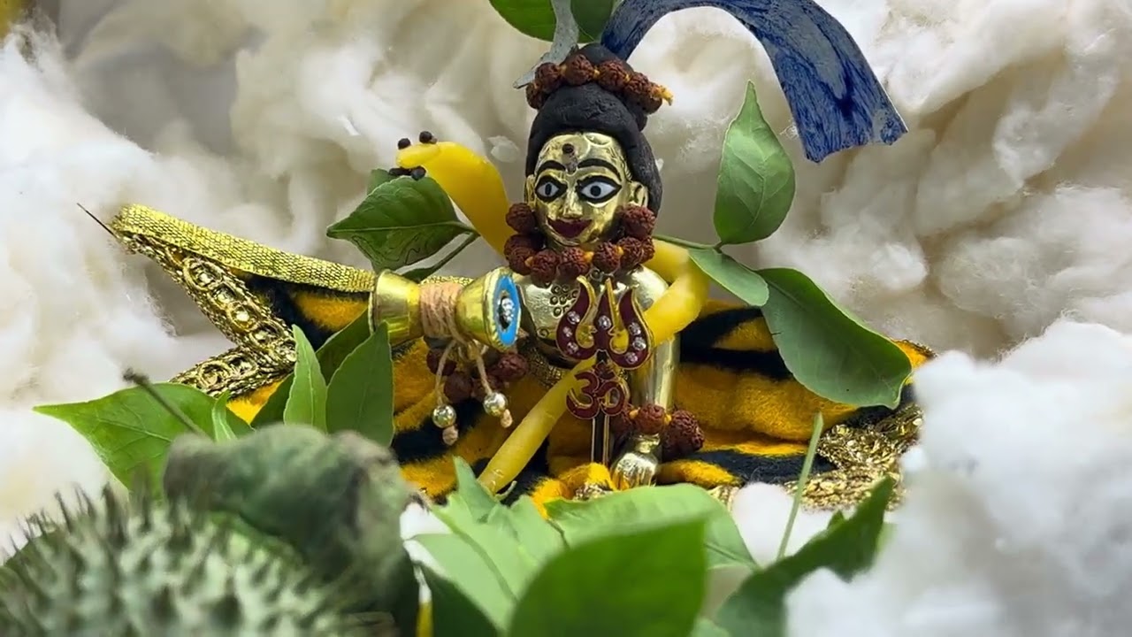 HARI BANYA KAILASH VASI 🙏🙏🙏DATE 15/2/26