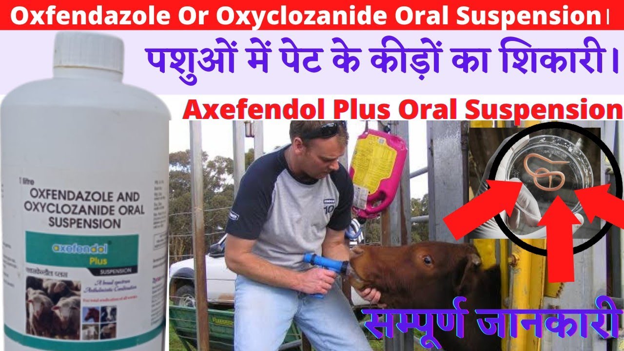 Axefendol plus || oxefendazole and oxyclozanide oral suspension || axefendol use in animals ||