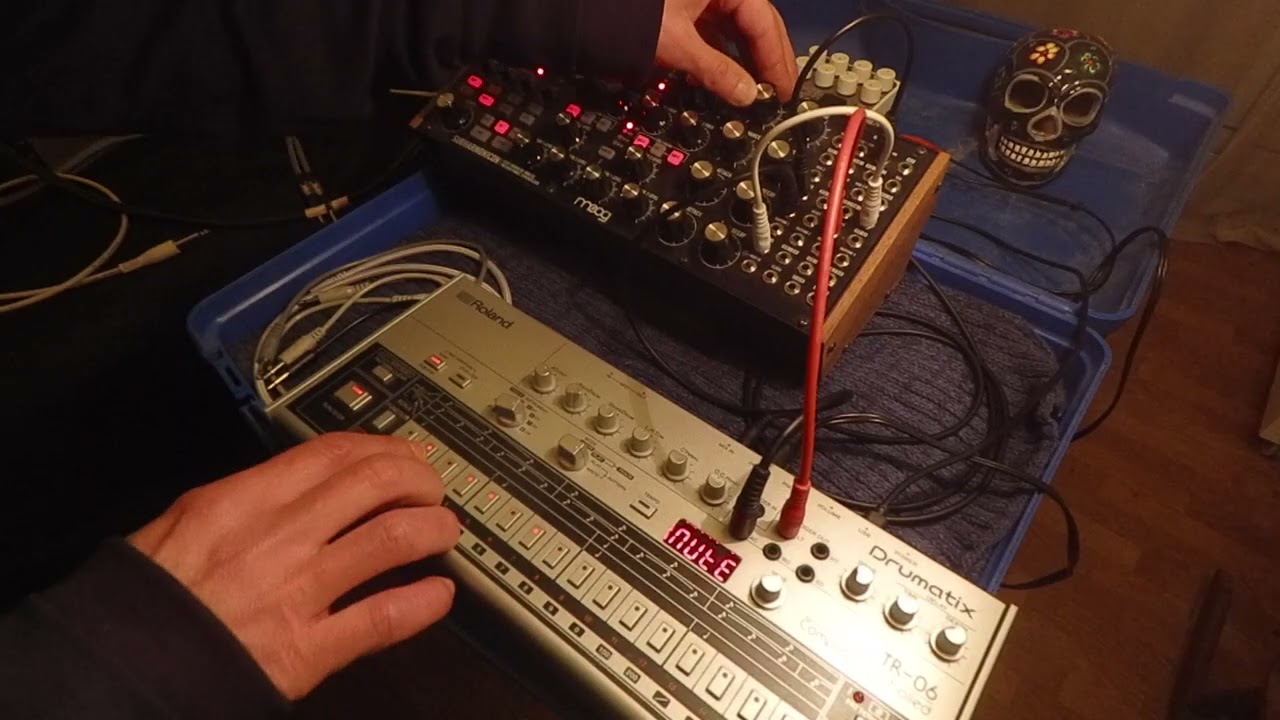 Subharmonicon Techno 16