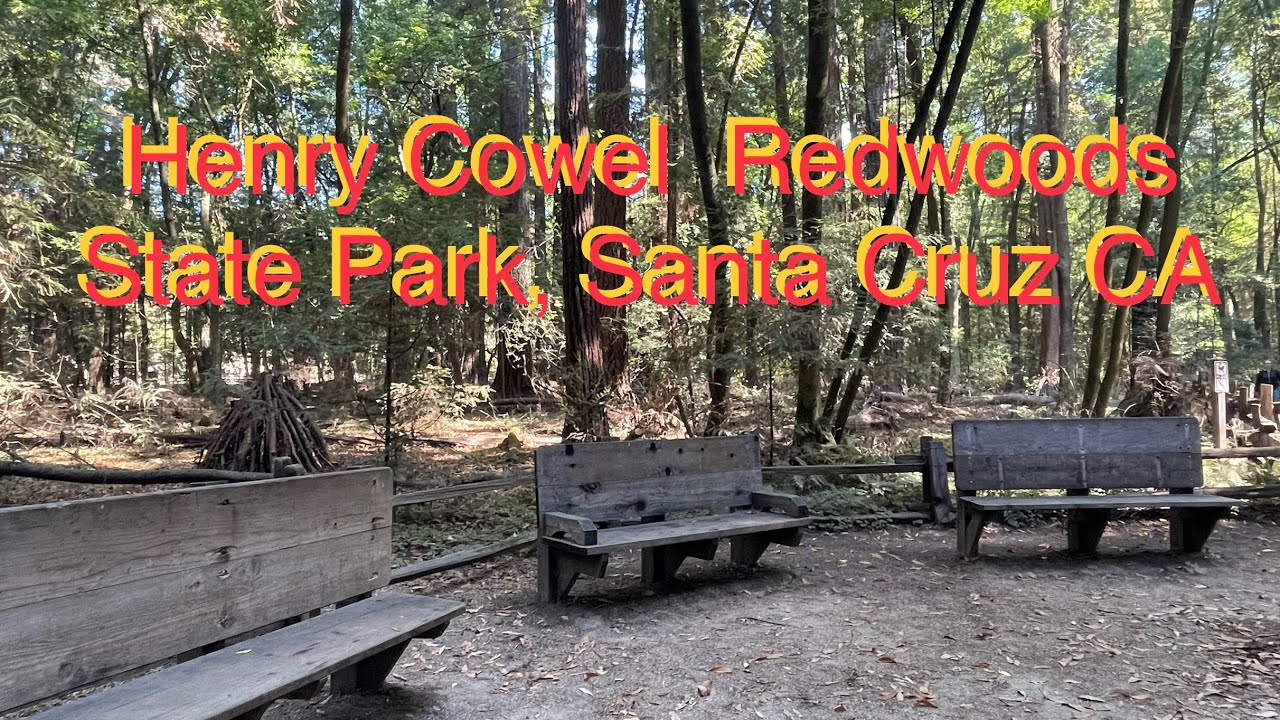 Exploring Henry Cowell Redwoods  State Park in Santa Cruz, California #beautiful #park #nature