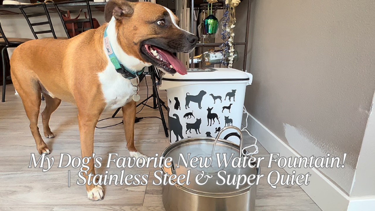 The Best Dog Water Fountain for Large Dogs &ndash; Huge Capacity + LED Light!