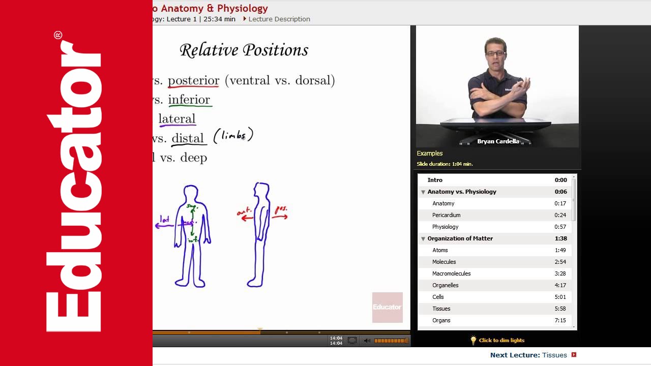 Introduction to Anatomy and Physiology