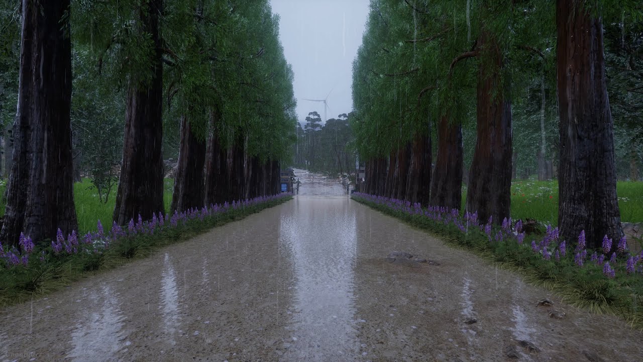 🎬 Walking Together Through the Pasture in the Rain | Rain, Water, Crackling Fire Sounds, White Noise