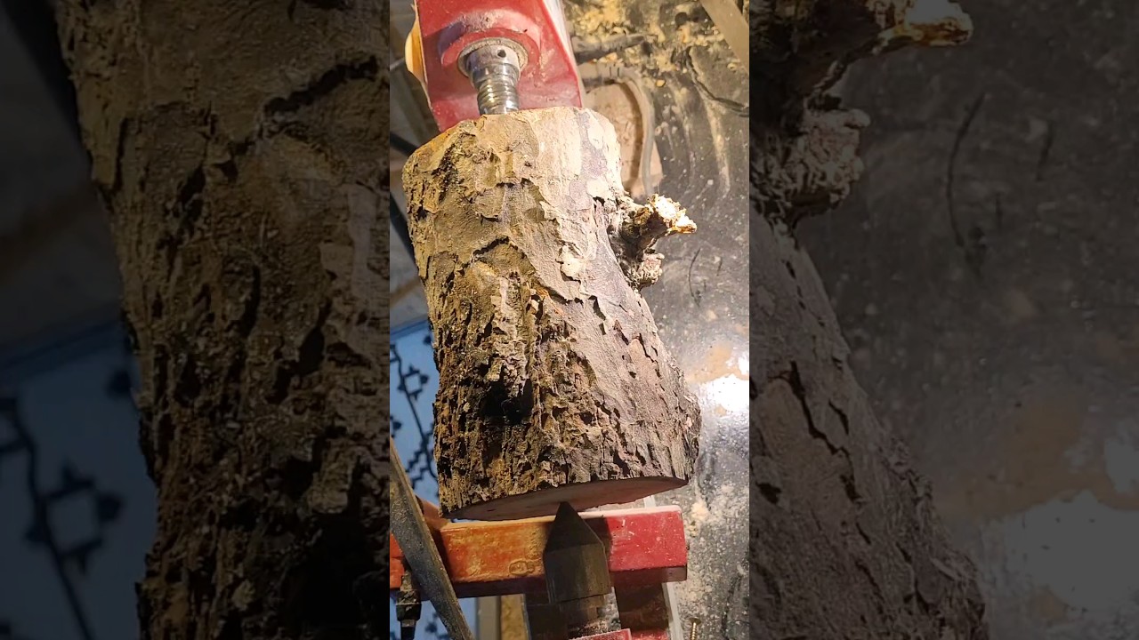 Super satisfying! Wood turning a cherry log! #woodturning #wood #femalewoodworker #woodworker #asmr