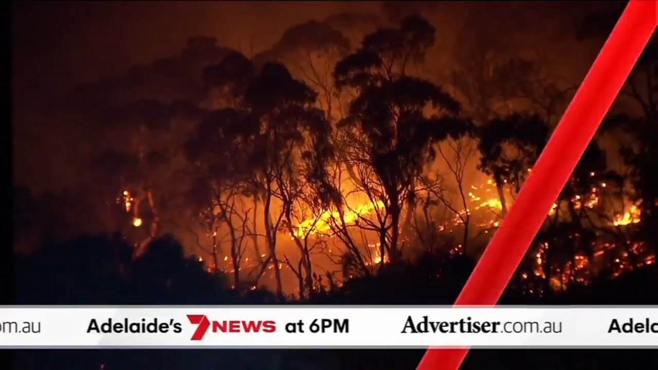 The Advertiser, 7NEWS Adelaide: Macclesfield fire threat, New Gus Lamont search