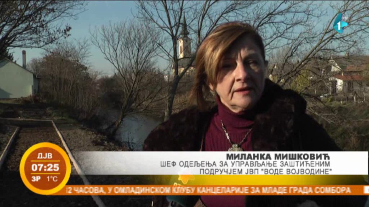 Zmajevo: Staza zdravlja
