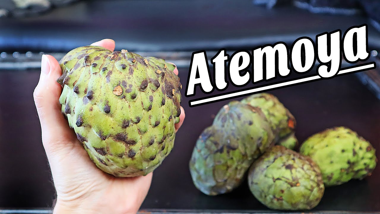 ATEMOYA - Comparing two varieties of one of my favorite fruits - Weird Fruit Explorer