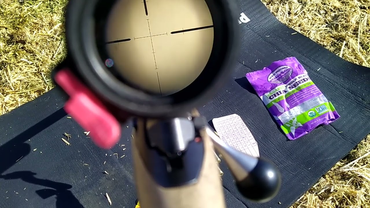 SWFA 10maxxing - what to expect from the cheapest good scope