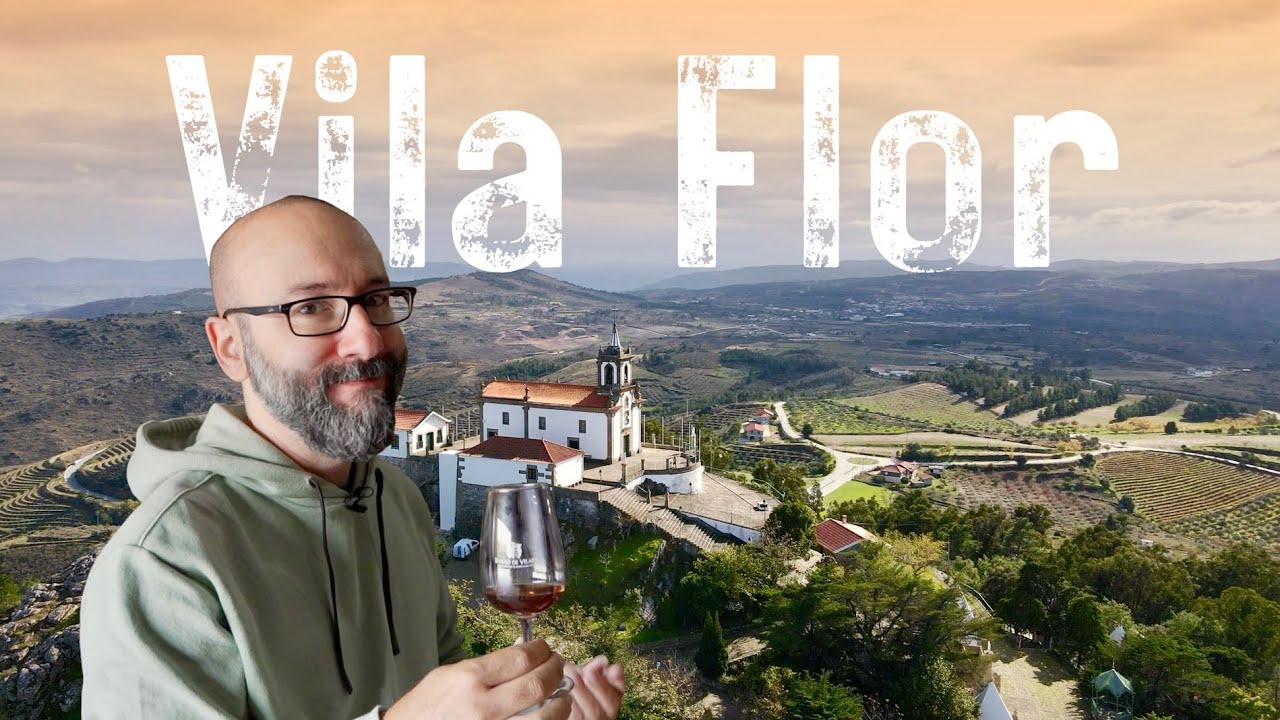 Descobrimos o Douro Autêntico: Vinhedos, Olivais e Sabores Únicos