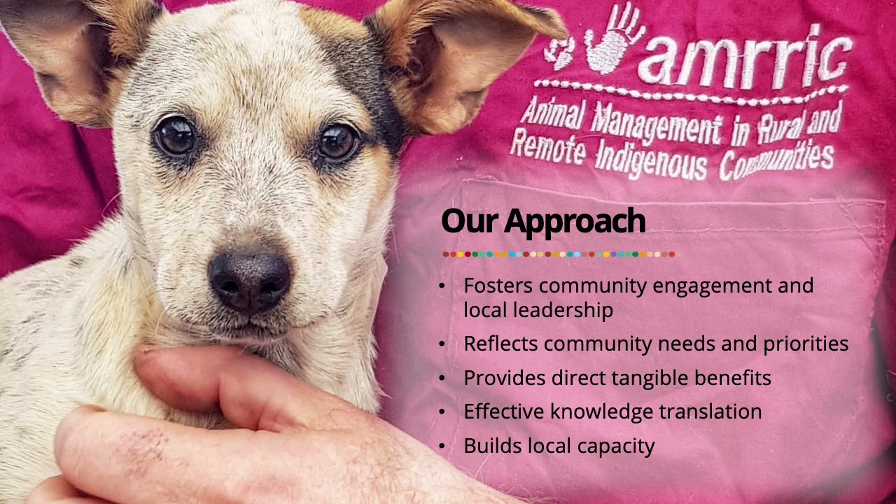 Bonny Cumming, Animal Management in Rural and Remote Indigenous Communities (AMRRIC)