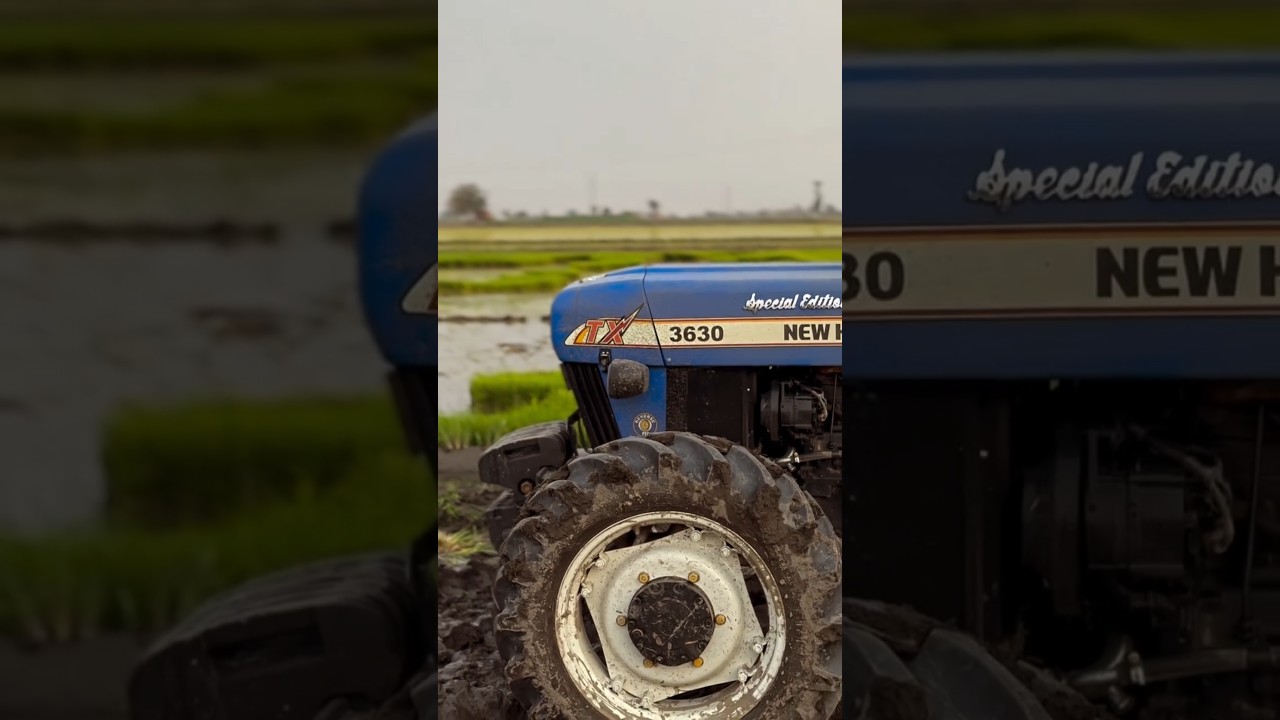 3630 4x4 SE. #viral #3630specialedition #trending #tractor