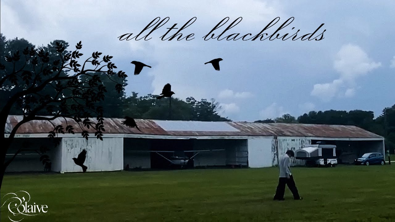 glaive - all the blackbirds freestyle (unofficial lyric video)