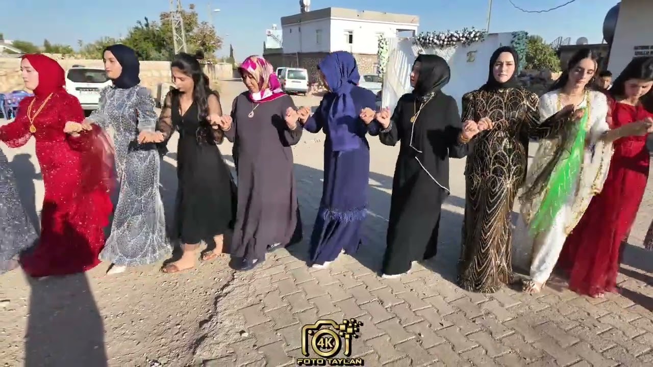 ELİF & SERKAN DÜĞÜN -1 SAYÖREN KÖYÜ GRUP ŞİLE 2025