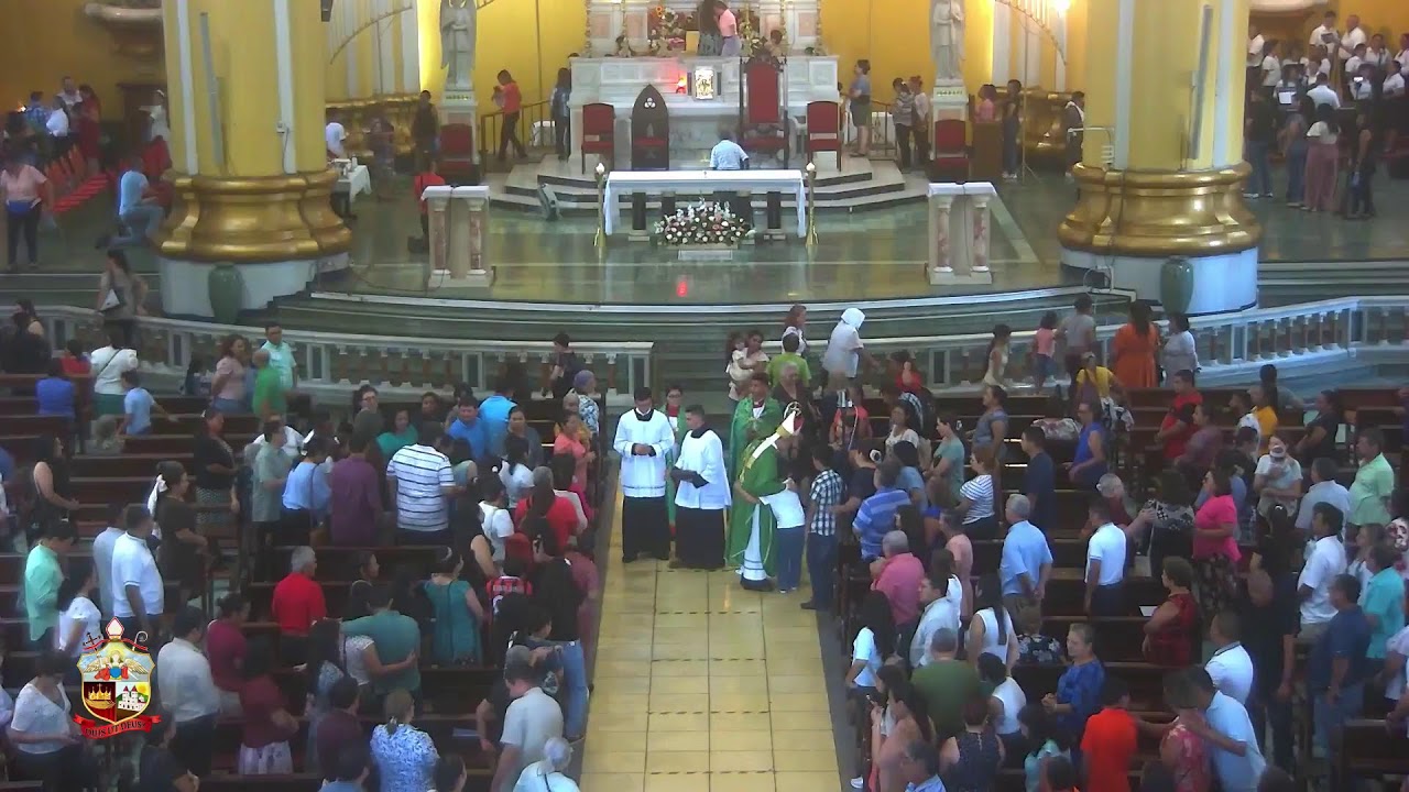 Décimoquinto Domingo del Tiempo Ordinario