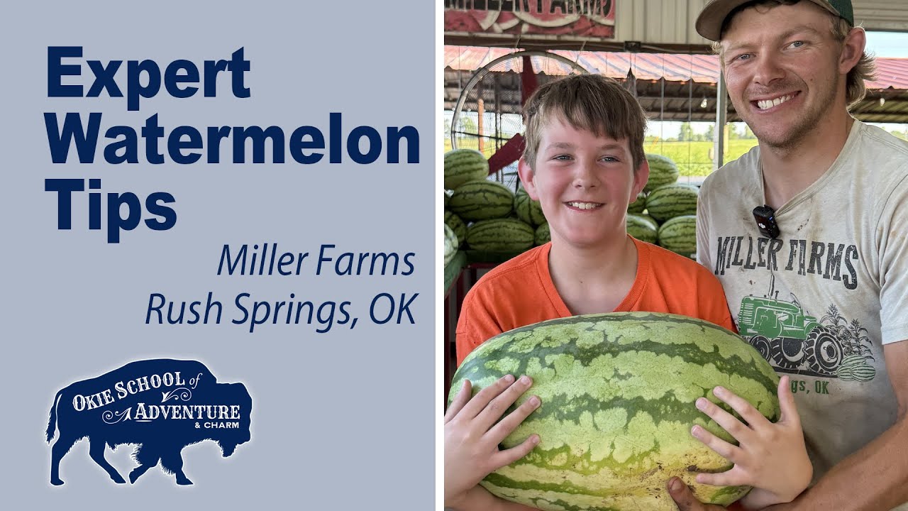 You Haven't Seen Watermelon Tips Like These - Secrets from the Watermelon Capital of the World