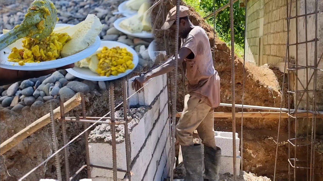 curry ackee chicken w roast breadfruit (laying blocks socks house)