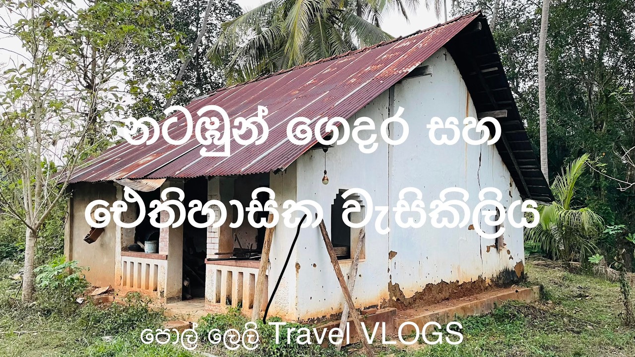 නටඹුන් ගෙදර 🏚️ඓතිහාසික වැසිකිලිය 🚽Exploring an abandoned house and an ancient toilet 🗺️