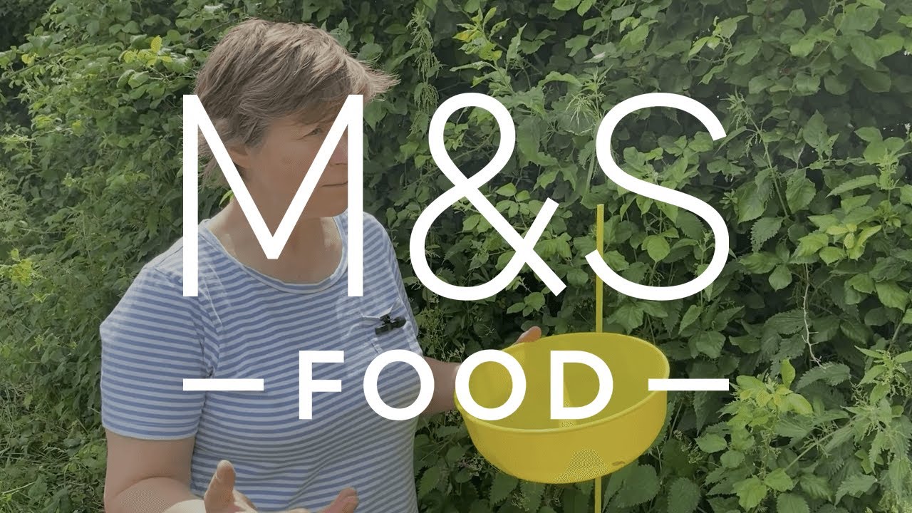 M&S Clockhouse Introduction