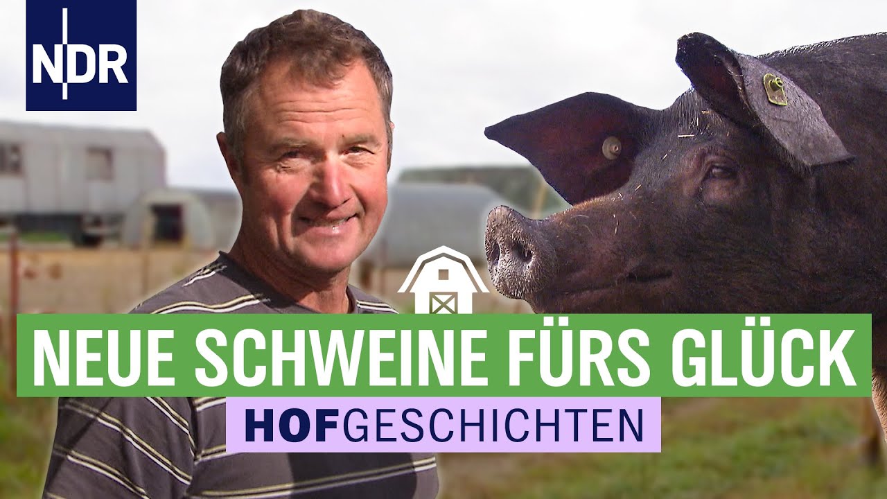 Rettung einer Mutterkuh im Harz – Abschied in Finkenwerder | Hofgeschichten (153) | NDR auf’m Land