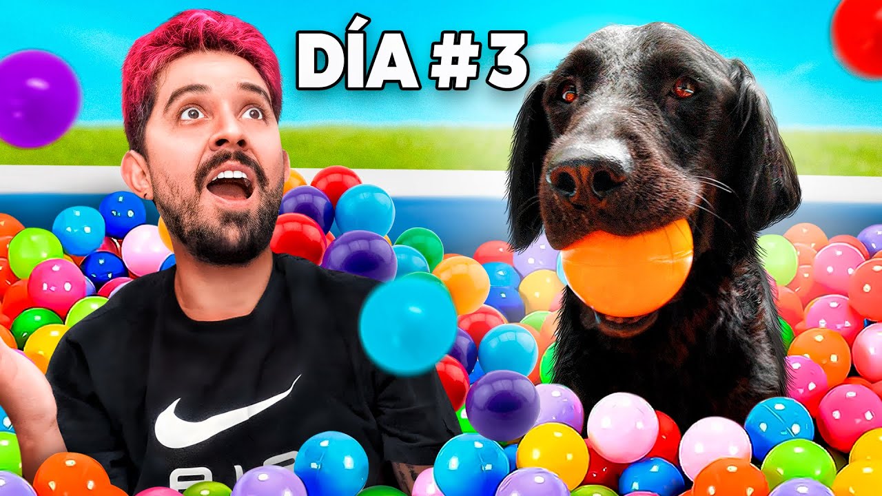 MILES DE PELOTAS EN UNA ALBERCA PARA MI PERRITA | EPISODIO 3 DE 10