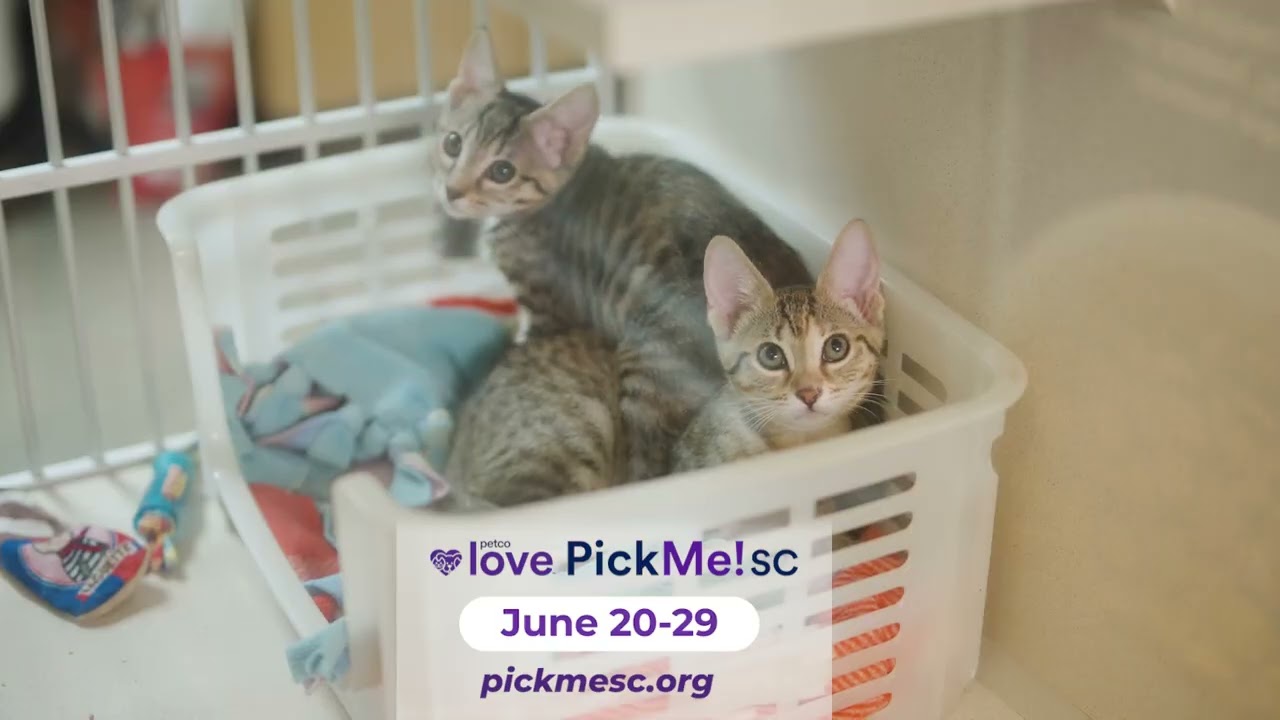 2025 PETCO LOVE PICK ME SC LOWCOUNTRY