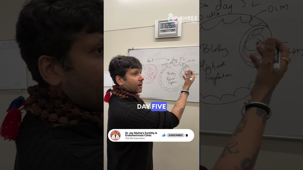 Day 3 vs Day 5 Embryo: Which One Gives You the Best IVF Success? | Dr Jay Mehta, Mumbai