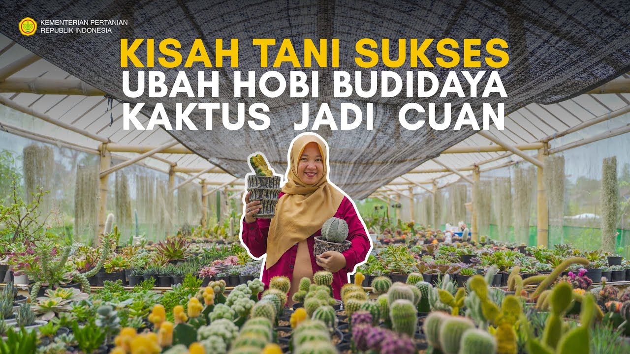UBAH HOBI BUDIDAYA KAKTUS MENJADI CUAN