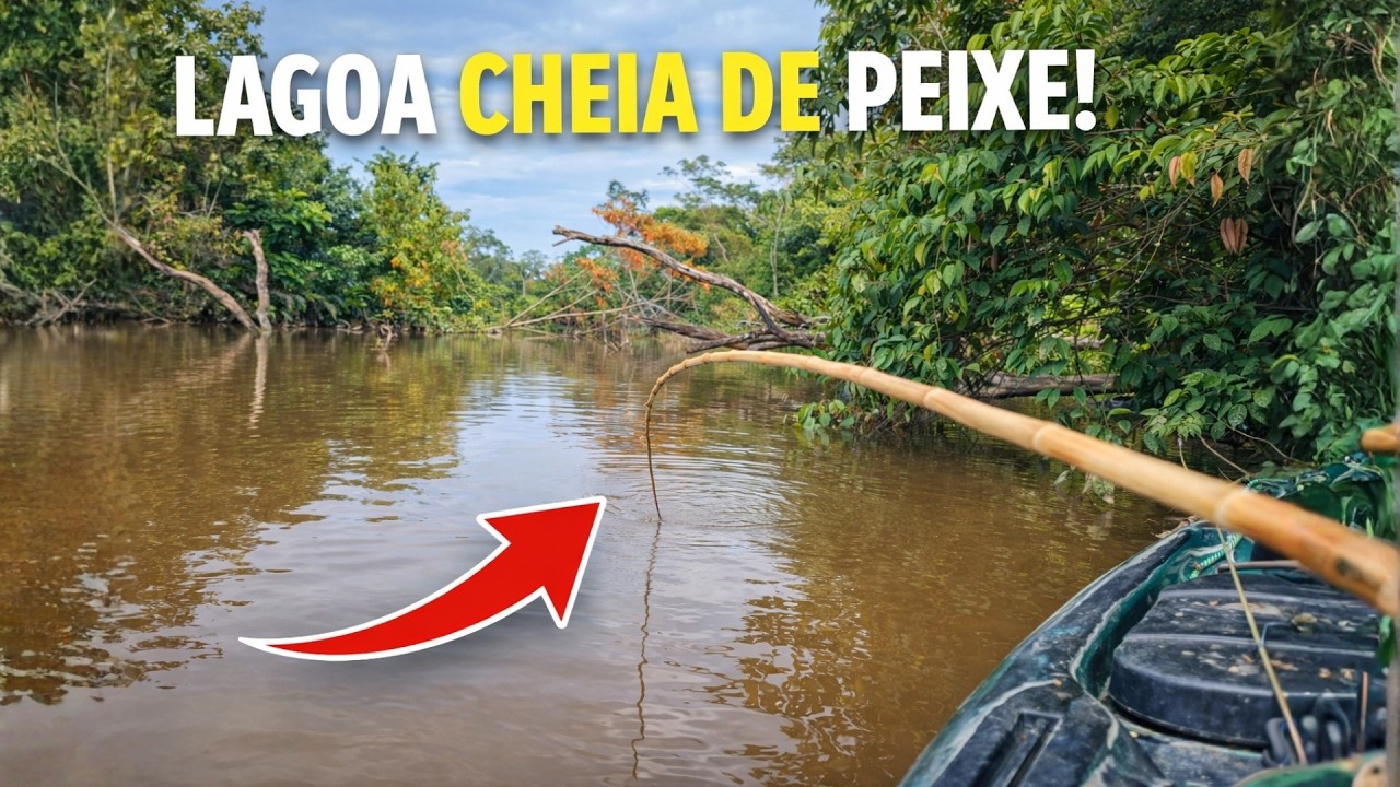 ACAMPAMENTO SELVAGEM E PIAU NA LINHA! 🔥🎣