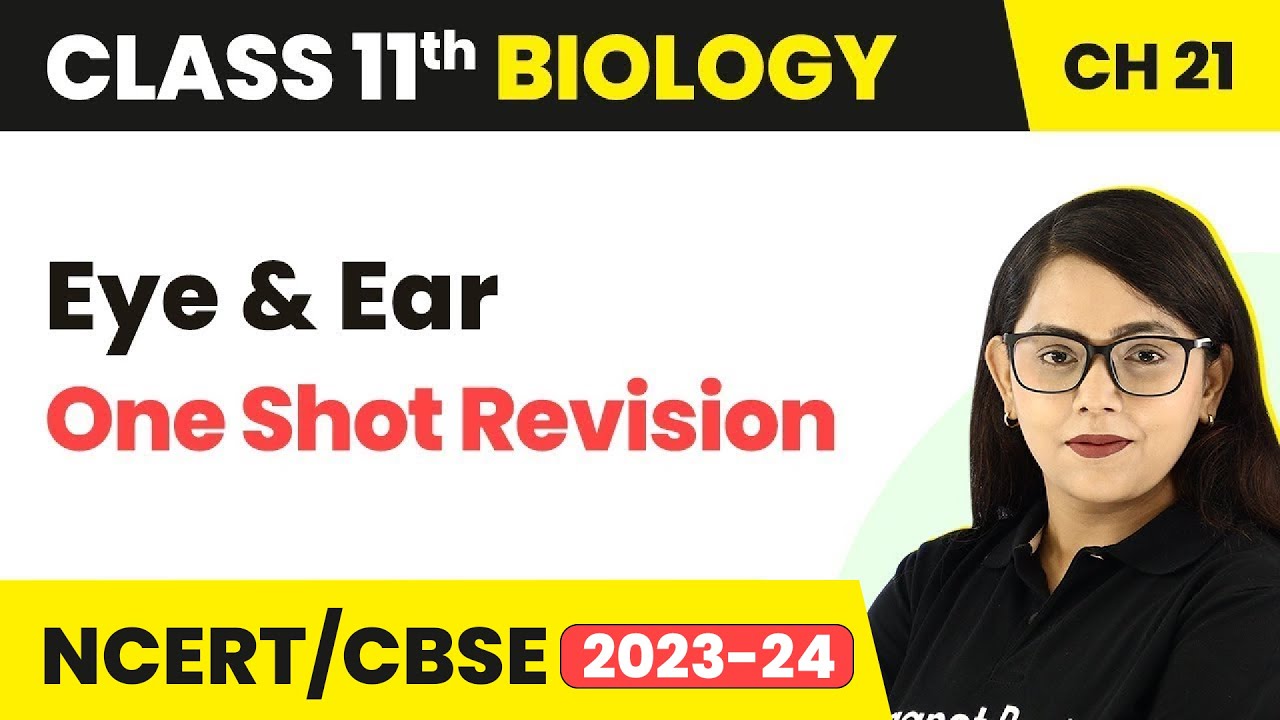 Eye & Ear (One Shot Revision) - Neural Control & Coordination | Class 11 Biology Ch 21 NCERT/NEET