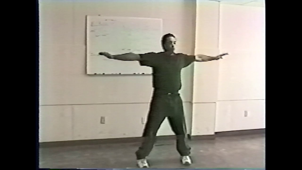 Trailer for Moy Tung video: Ving Tsun Detail