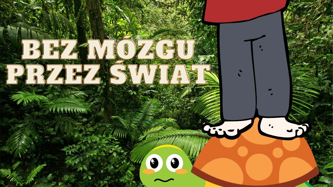 Dlaczego nie deptać żółwi?