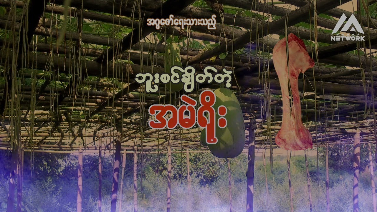 ဘူးစင်ချိတ်တဲ့ အမဲရိုး ( အစအဆုံး)