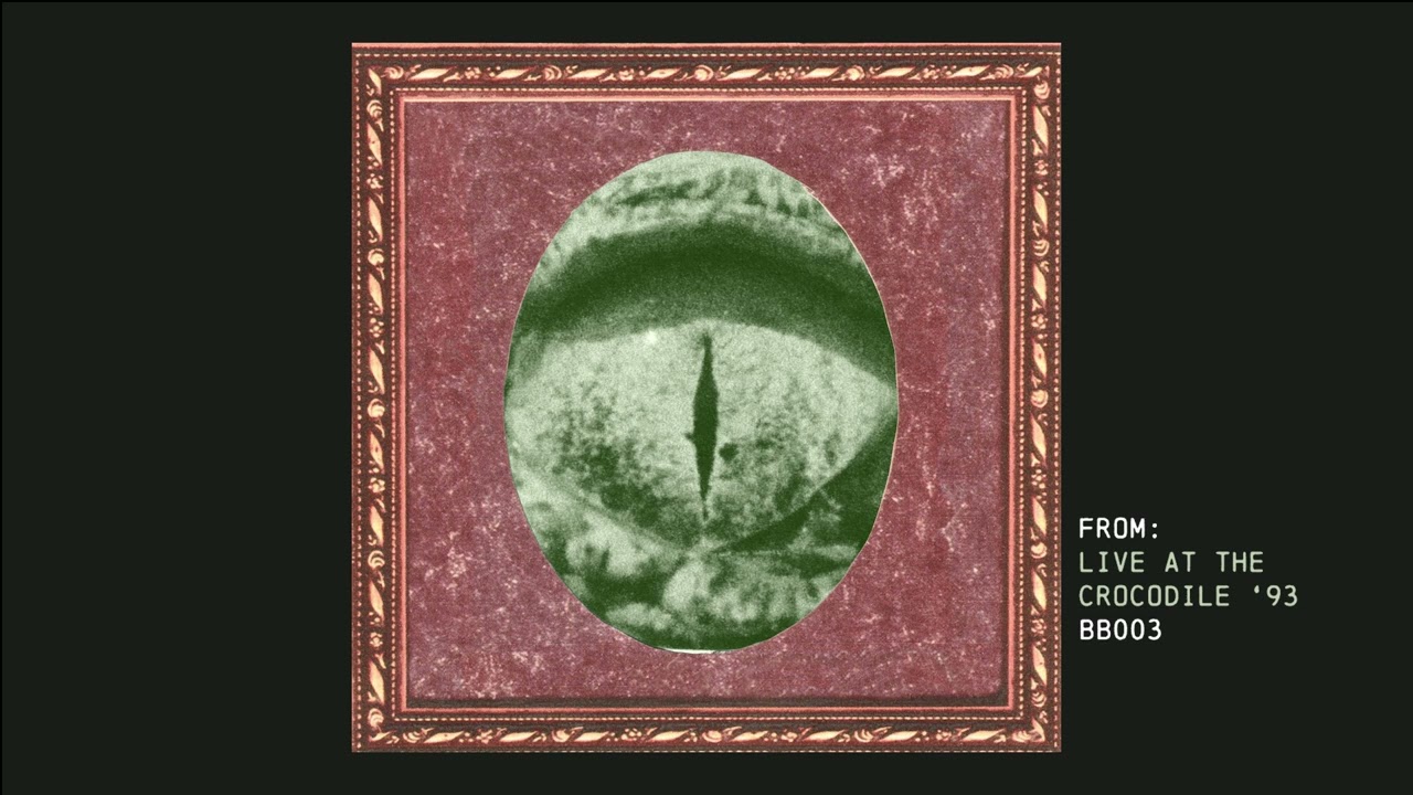 Hazy - Built To Spill (Live at The Crocodile 1993)