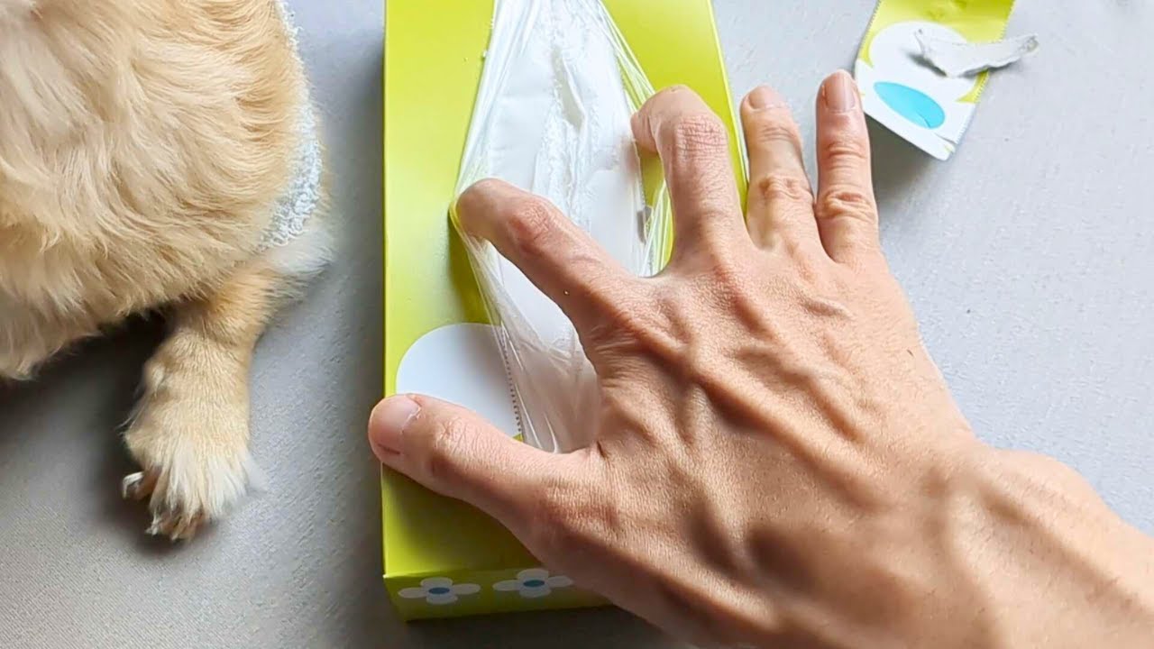 ASMR The sound of hands and tissue boxes playing since morning