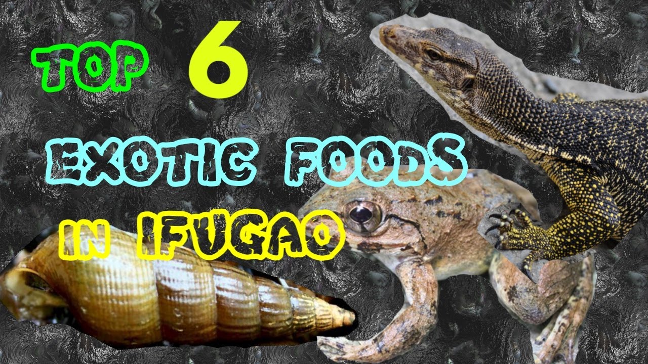 TOP 6 EXOTIC FOODS IN IFUGAO, PHILIPPINES