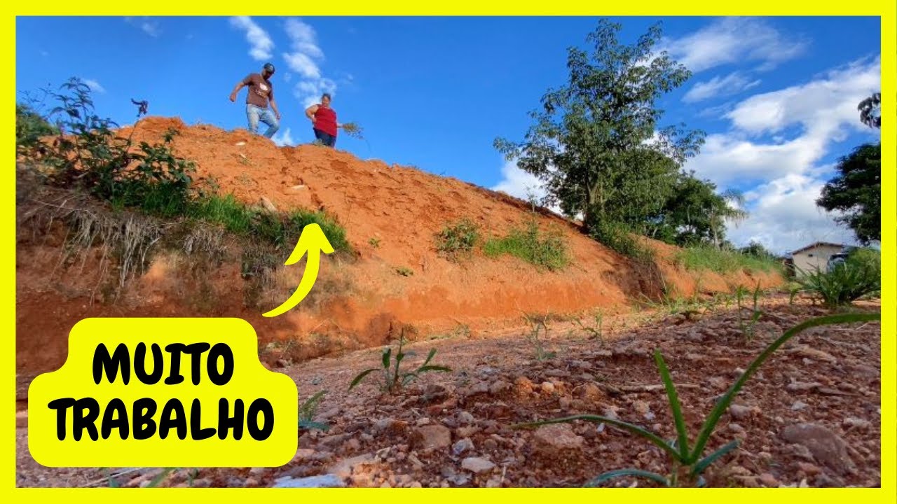 Controlando a Erosão com Amendoim Forrageiro na Chácara | Gutejando